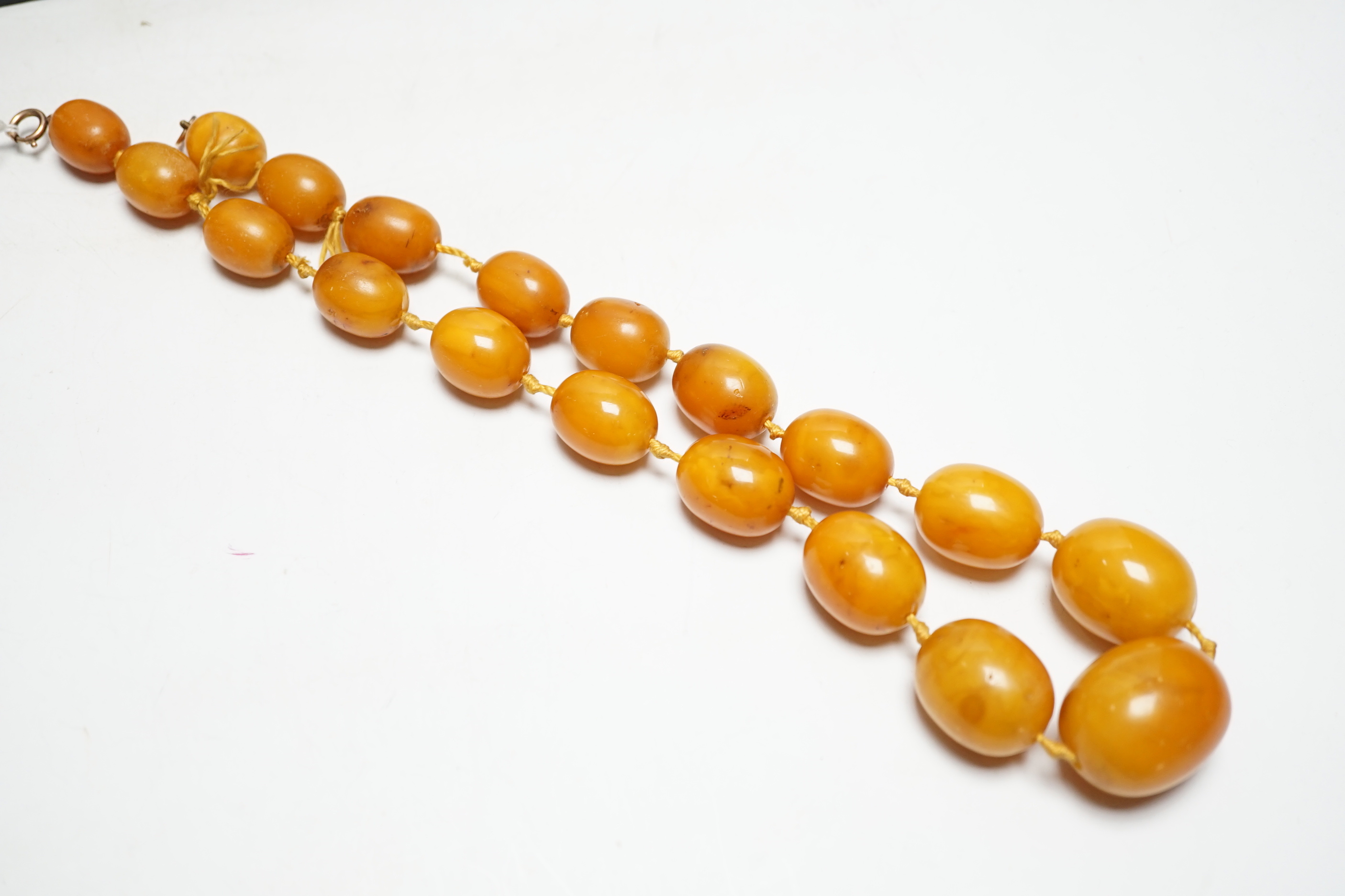 A single strand graduated oval amber bead necklace, 50cm, gross weight 81 grams.